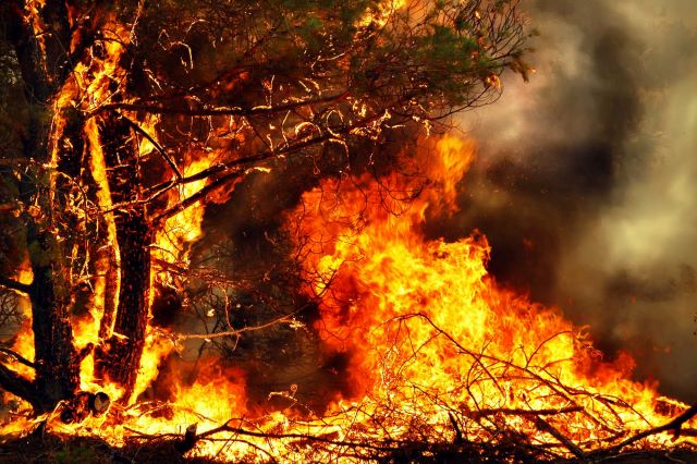 Campagna aib 2025 – Dichiarato lo stato di massima pericolosità per gli incendi boschivi dal 15 giugno al 15 ottobre in tutto il territorio regionale